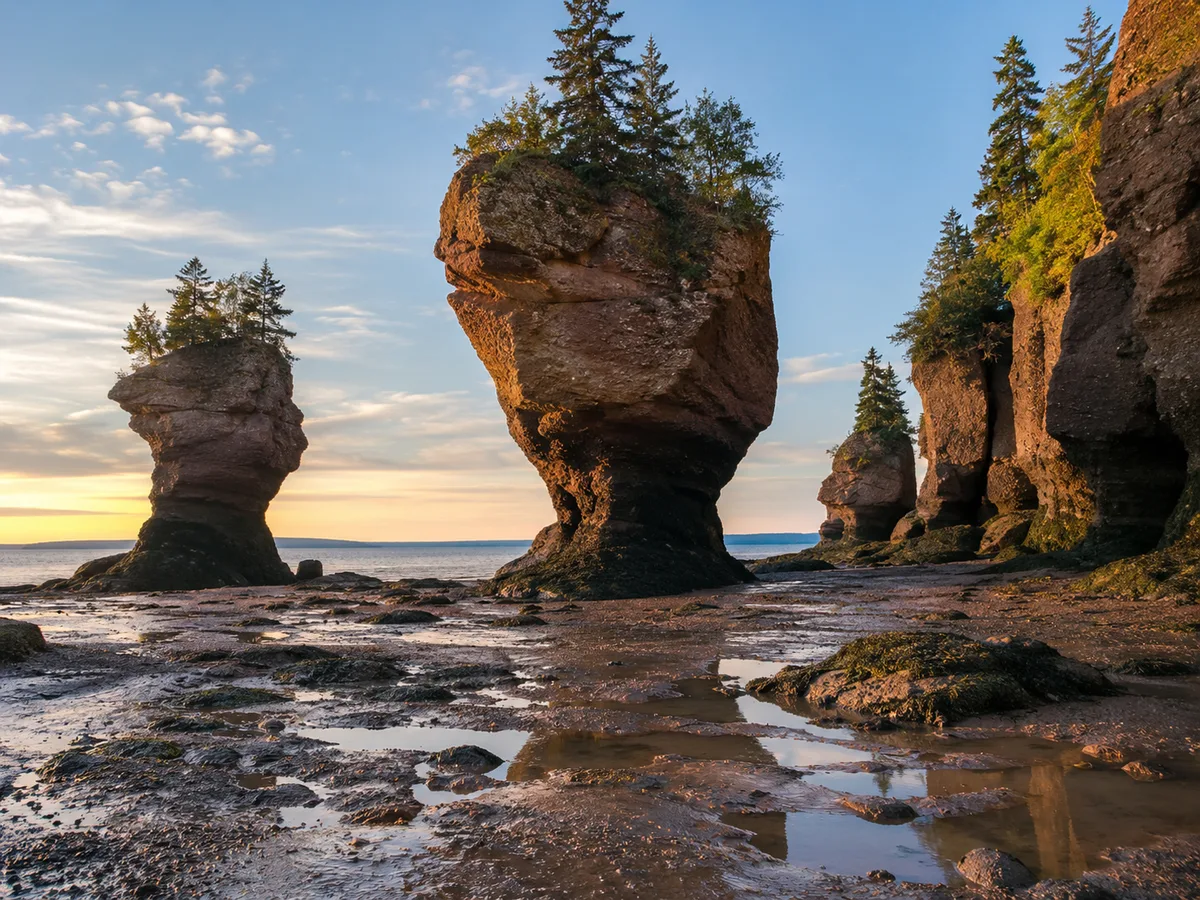 Hopewell Rocks flowerpot formations at low tide