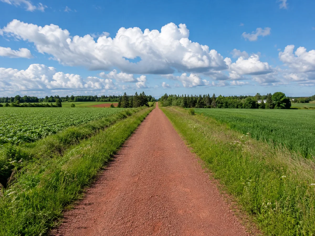 Red dirt Confederation Trail through green fields